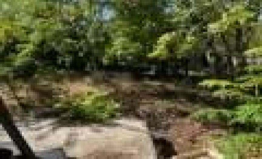 5804 Emerald Forest DR, Austin, Texas 78745, ,Land,For Sale,Emerald Forest,ACT1463028