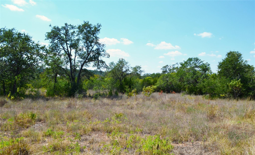 Lot features mature Live Oaks and dense treeline toward the rear of the property.