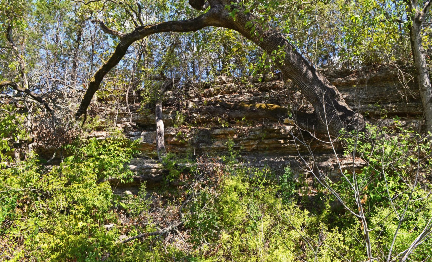 Limestone escarpment at rear of lot along creekside trail.