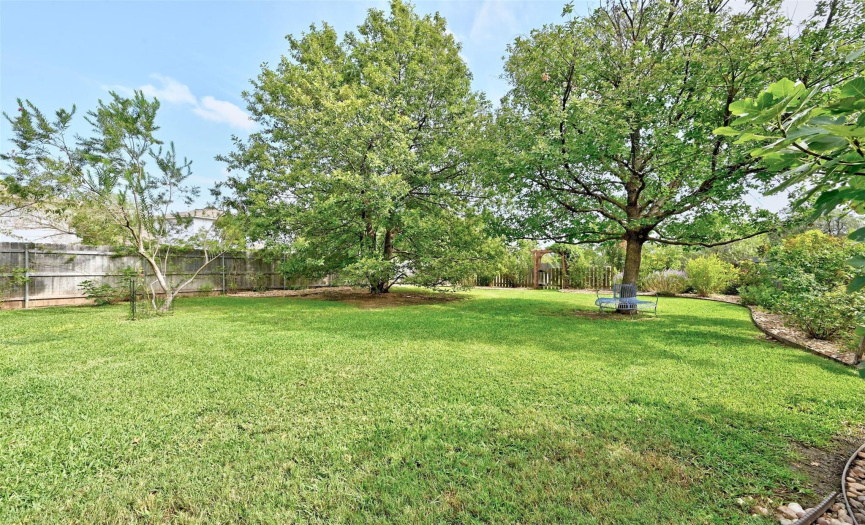 Huge fenced backyard with plenty of room to run and play 