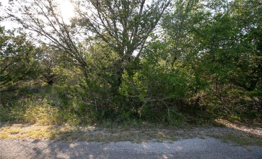 00 Fire Dance DR, Spicewood, Texas 78669, ,Land,For Sale,Fire Dance,ACT8480655