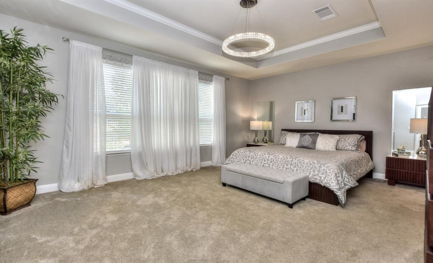Tray ceiling and neutral window treatments
