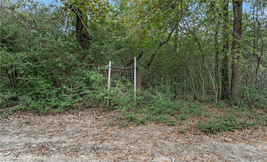 511 LCR 793, Groesbeck, Texas 76642, ,Land,For Sale,LCR 793,ACT4467865
