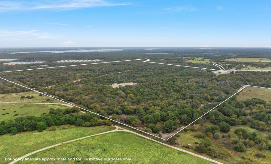 511 LCR 793, Groesbeck, Texas 76642, ,Land,For Sale,LCR 793,ACT4467865