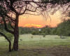 920 Elder Hill RD, Driftwood, Texas 78619, ,Land,For Sale,Elder Hill,ACT4013152