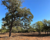 325 Romberg RD, Dale, Texas 78616, ,Land,For Sale,Romberg,ACT2427241