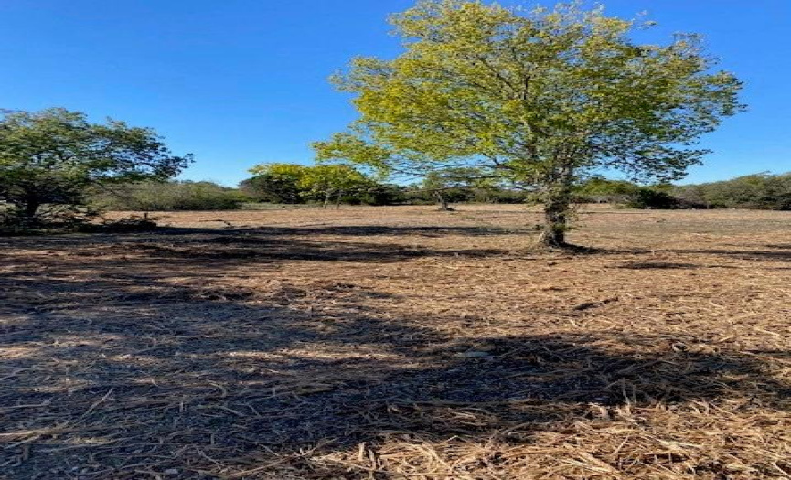 7245 County Road 252 RD, Bertram, Texas 78605, ,Land,For Sale,County Road 252,ACT6519853