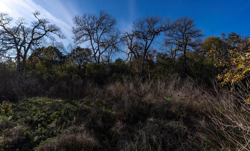 TBD Lucky Hit RD, Leander, Texas 78641, ,Land,For Sale,Lucky Hit,ACT8739219