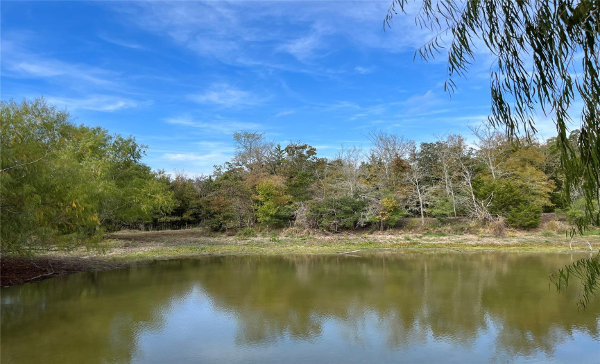4311 County Road 127, Ledbetter, Texas 78946, ,Land,For Sale,County Road 127,ACT6401418