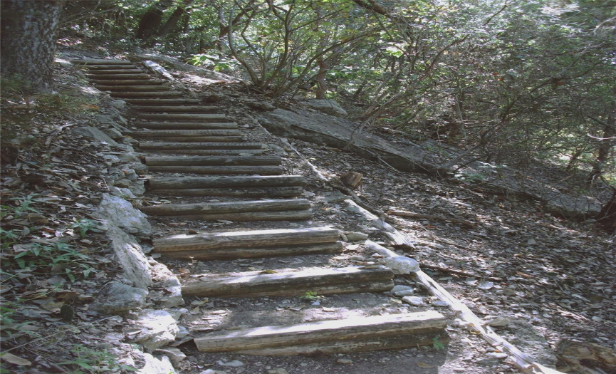 lot stairs leading down bluff