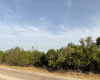 1700 County Road 219 RD, Briggs, Texas 78608, ,Land,For Sale,County Road 219,ACT3148515