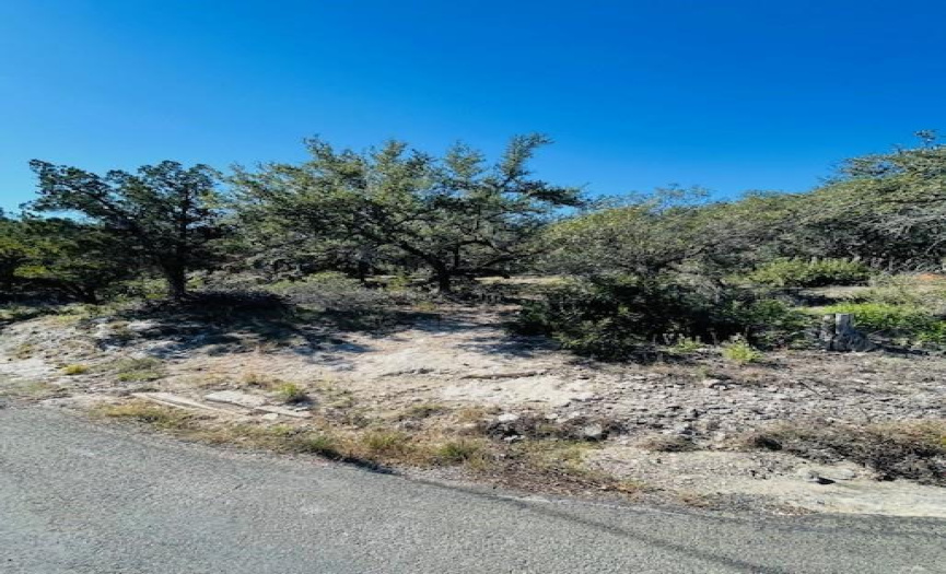 TBD Link RD, Lago Vista, Texas 78645, ,Land,For Sale,Link,ACT4783659