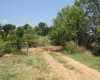 200 Hershal LN, Cedar Creek, Texas 78612, ,Land,For Sale,Hershal,ACT1802018