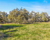 Your vast Hill Country acreage extends beyond the fence line – a picturesque expanse of tree-filled hill country side, inviting serenity into every view.