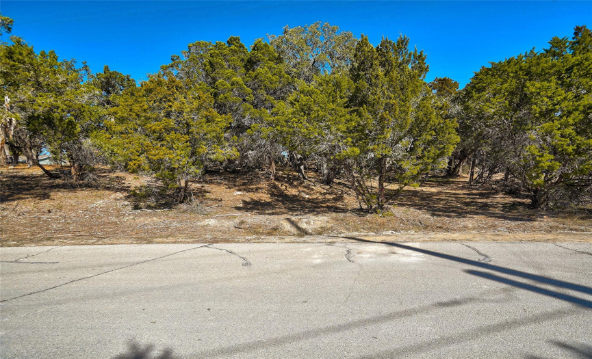 6603 Lake Shore Dr is a gently sloping lot located next to the already cleared lot at 6601 Lake Shore Dr., which is also available for sale.