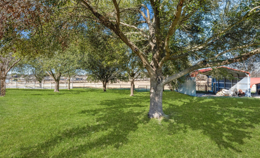 814 Young Ave, Temple, Texas 76501, 3 Bedrooms Bedrooms, ,1 BathroomBathrooms,Residential,For Sale,Young,ACT7446739