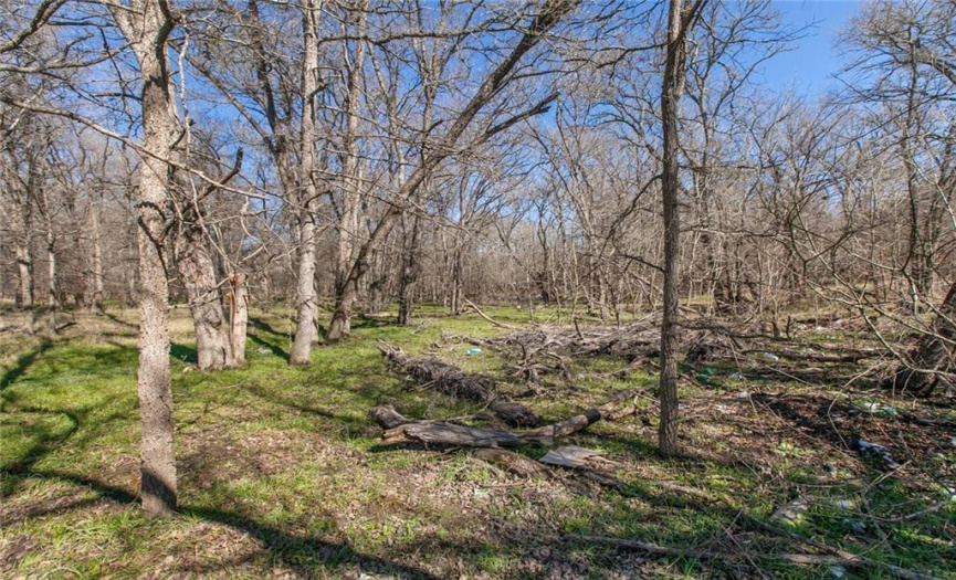 10740 Camino Real, Kyle, Texas 78640, ,Land,For Sale,Camino Real,ACT5366107