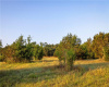 Lot 37-A Lost Canyon CRK, Bertram, Texas 78605, ,Land,For Sale,Lost Canyon,ACT9159042