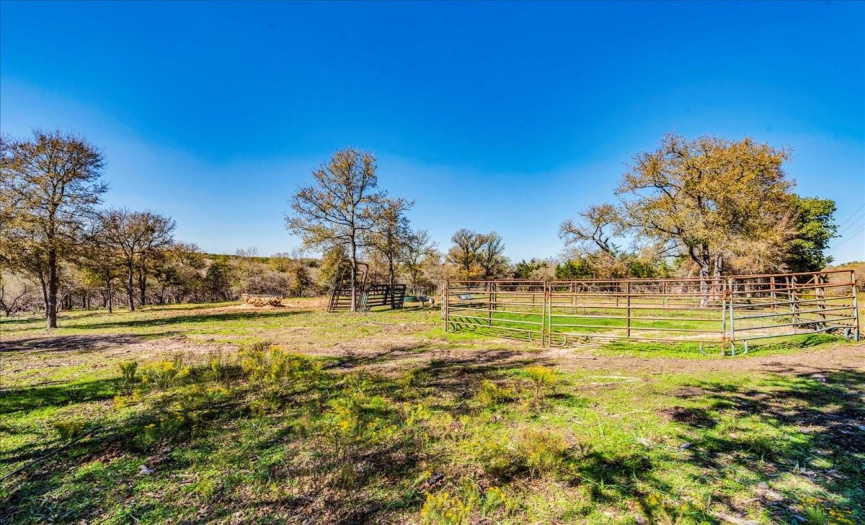 Horse ring and pasture at Honeysuckle Ranch.