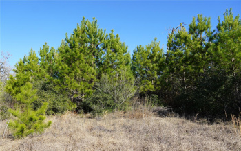 145 Agget RD, Smithville, Texas 78957, ,Land,For Sale,Agget,ACT8352968