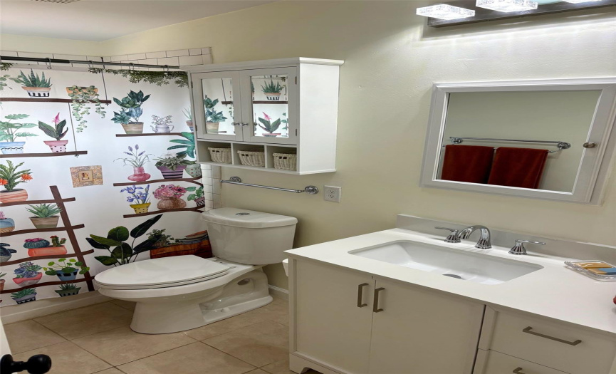 Recent vanity/faucet hall bathroom.