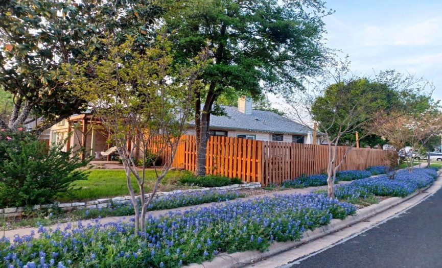 Photo from Spring, Be here when the Bluebonnets Bloom!