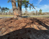 196 Private Road 7701 PR, Rockdale, Texas 76567, ,Land,For Sale,Private Road 7701,ACT9349377