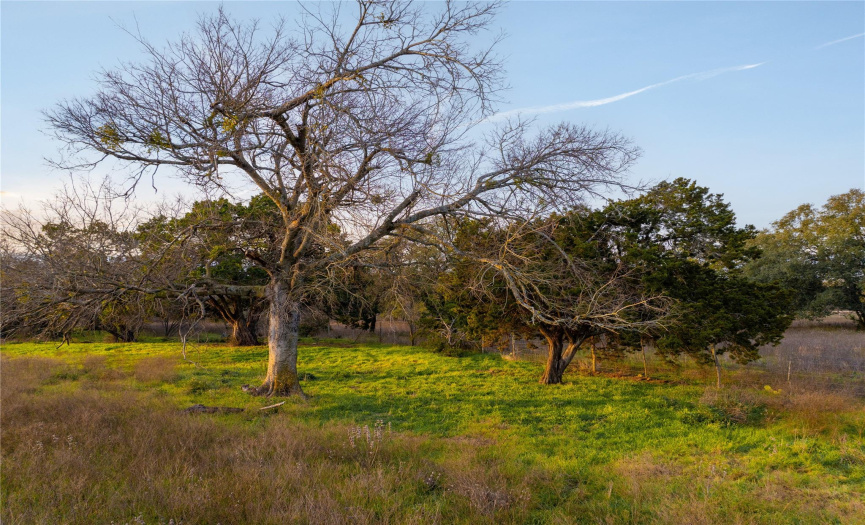 TBD County RD 330 RD, Burnet, Texas 78611, ,Land,For Sale,County RD 330,ACT2522645