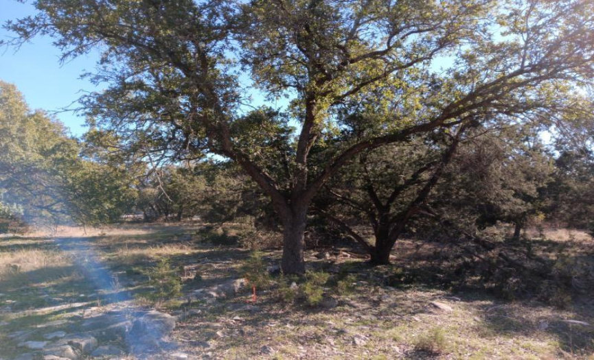 101 Timber Line RD, Georgetown, Texas 78633, ,Land,For Sale,Timber Line,ACT4820214