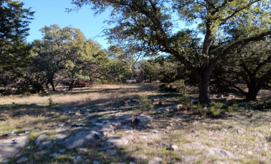 101 Timber Line RD, Georgetown, Texas 78633, ,Land,For Sale,Timber Line,ACT4820214
