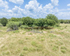 1366 County Rd 447, Waelder, Texas 78959, ,Land,For Sale,County Rd 447,ACT3022597