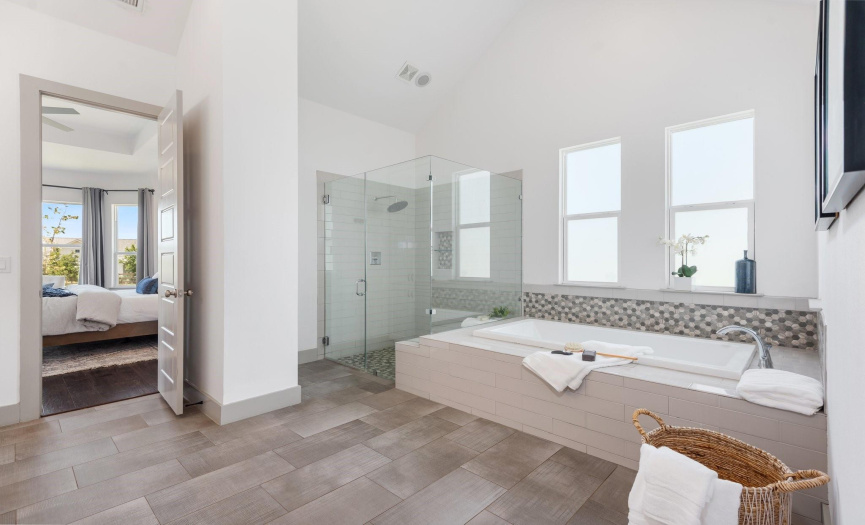 Primary En-Suite Luxury Bath