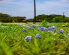 153 Cf Ranch RD, Dripping Springs, Texas 78620, ,Land,For Sale,Cf Ranch,ACT2067046