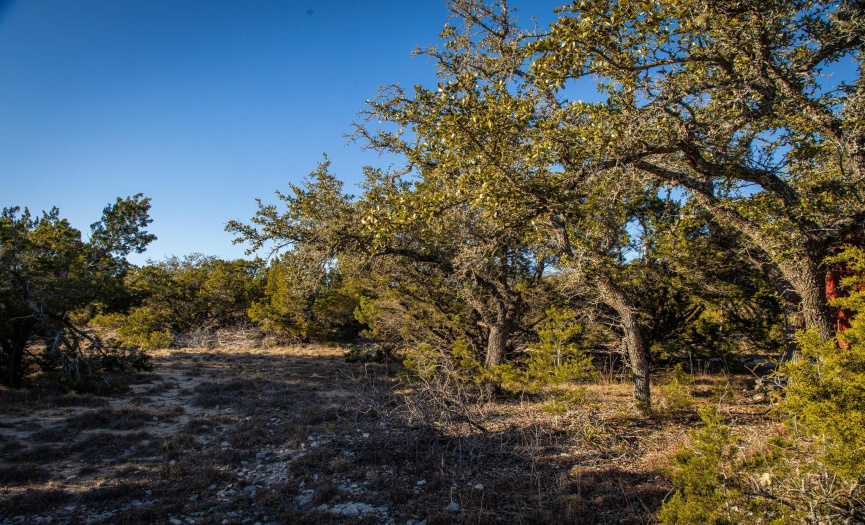 1280 Montell RD, Wimberley, Texas 78676, ,Land,For Sale,Montell,ACT2041799