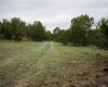 1450 Primrose LN, Kerrville, Texas 77515, ,Farm,For Sale,Primrose,ACT1889040