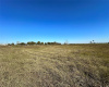 7509 St Hwy 21 w Highway, Caldwell, Texas 77836, ,Land,For Sale,St Hwy 21 w,ACT8820140
