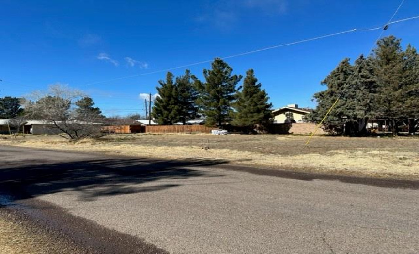 1301 6th ST, Alpine, Texas 79834, ,Land,For Sale,6th,ACT3549917
