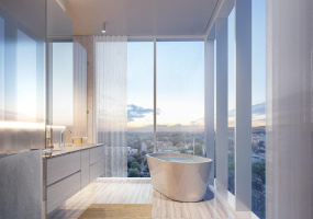 VIEWS. Because of its strategic location amongst various districts, The Linden affords views from all sides that include: The Texas State Capitol, Texas Hill Country, The University of Texas at Austin and the traditional Central Business District (CBD). Rendering of D1 Residence.
