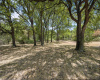 442 Bear Creek RD, Liberty Hill, Texas 78642, ,Land,For Sale,Bear Creek,ACT5950868