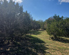 3510 County Road 200, Liberty Hill, Texas 78642, ,Land,For Sale,County Road 200,ACT8034448