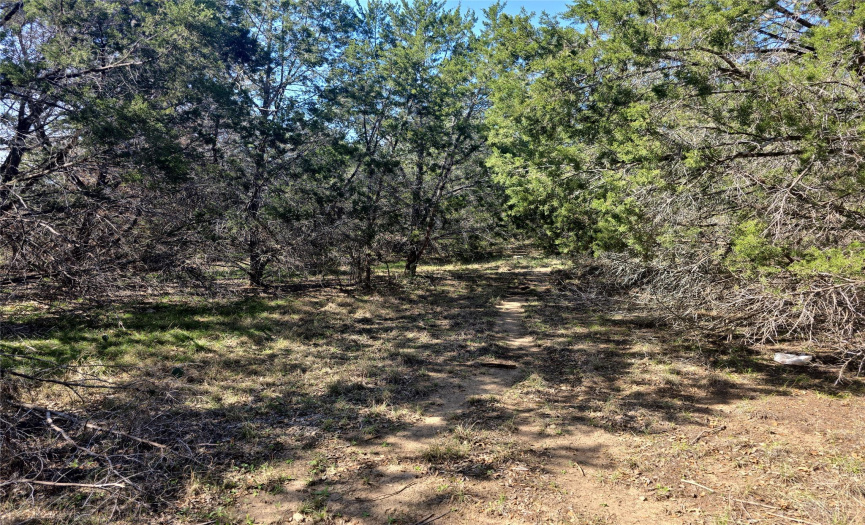 3510 County Road 200, Liberty Hill, Texas 78642, ,Land,For Sale,County Road 200,ACT8034448