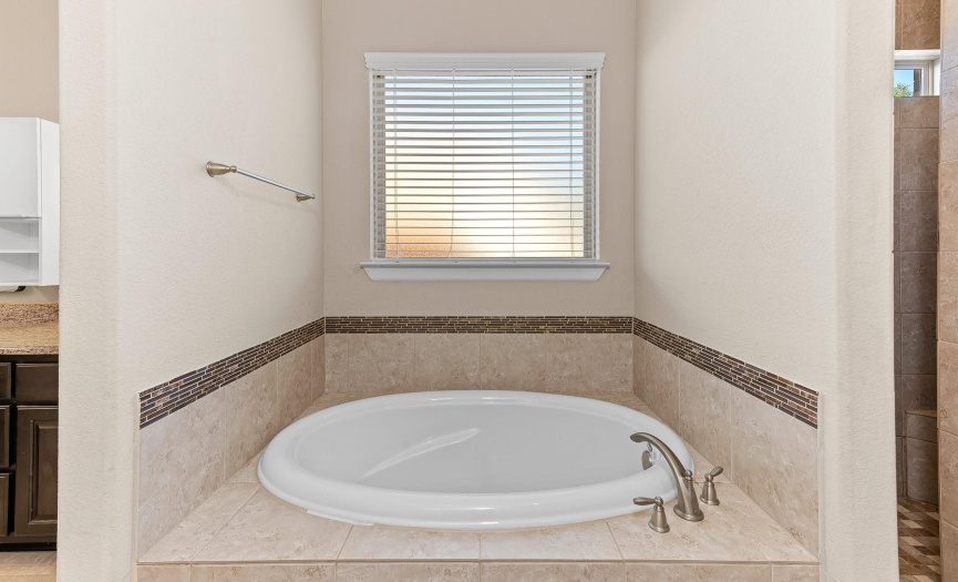 Privacy window and blinds 