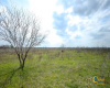 Lot 25 Seawillow RD, Lockhart, Texas 78644, ,Land,For Sale,Seawillow,ACT9462956