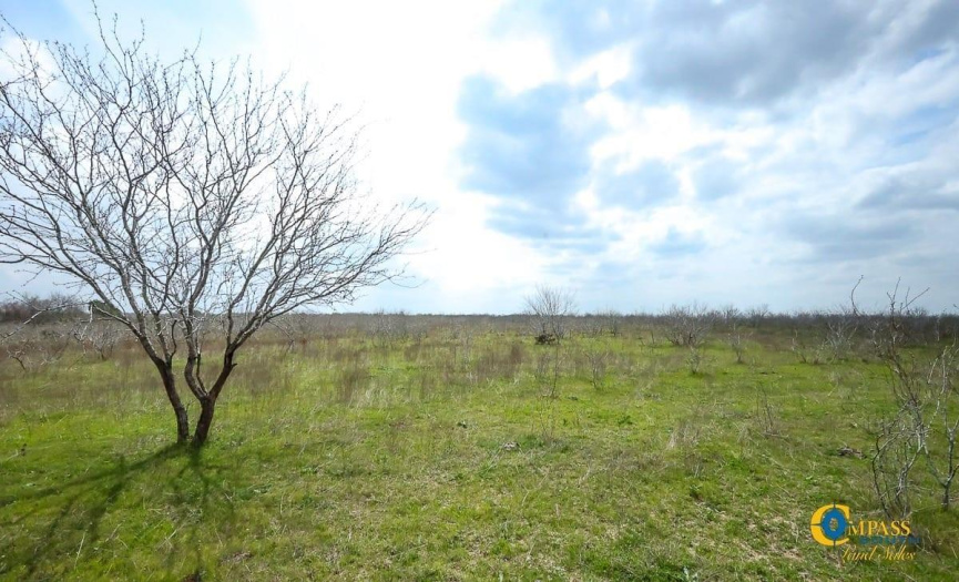 Lot 25 Seawillow RD, Lockhart, Texas 78644, ,Land,For Sale,Seawillow,ACT9462956