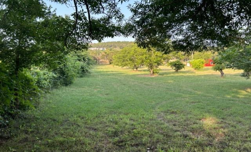 21604 Cold Spring DR, Leander, Texas 78641, ,Land,For Sale,Cold Spring,ACT8647818