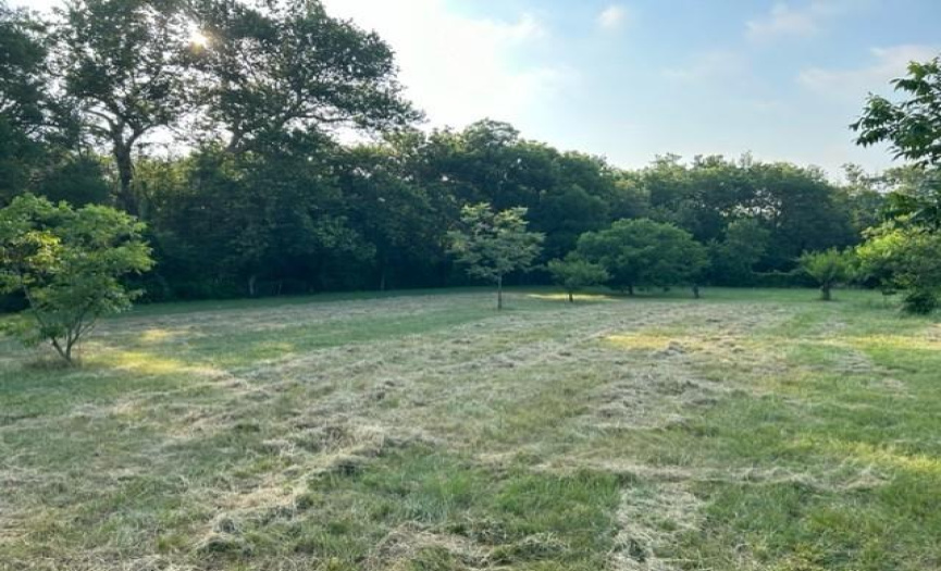 21604 Cold Spring DR, Leander, Texas 78641, ,Land,For Sale,Cold Spring,ACT8647818