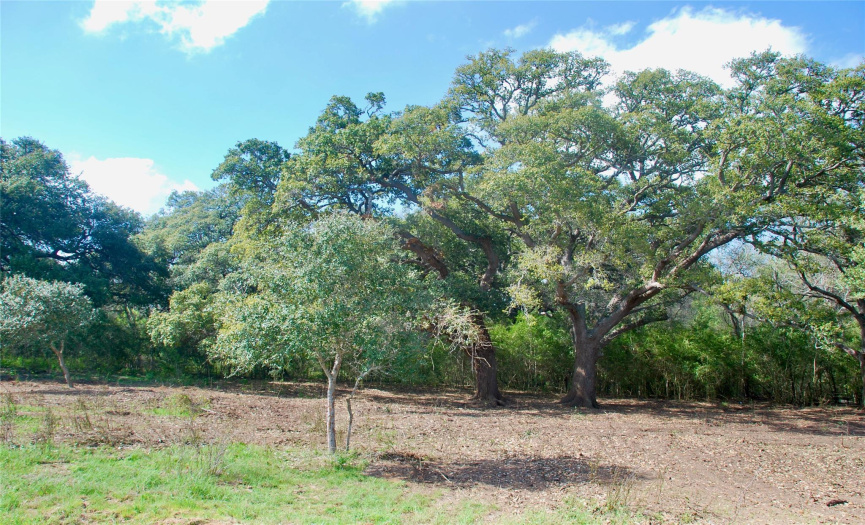 614 County Road 217C, Schulenburg, Texas 78956, ,Land,For Sale,County Road 217C,ACT3766878