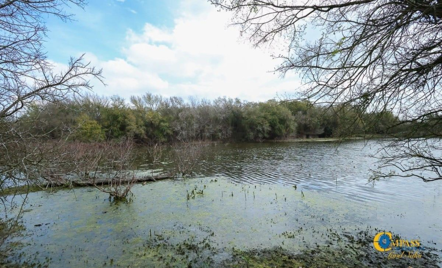 Lots 1-2 Young LN, Lockhart, Texas 78644, ,Land,For Sale,Young,ACT9428276