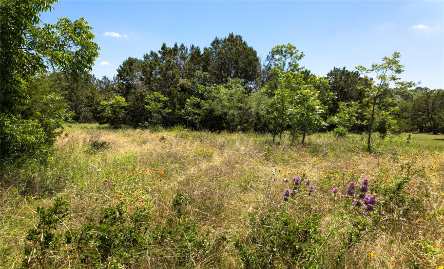 115 Peaceful Valley RD, Liberty Hill, Texas 78642, ,Land,For Sale,Peaceful Valley,ACT7493449