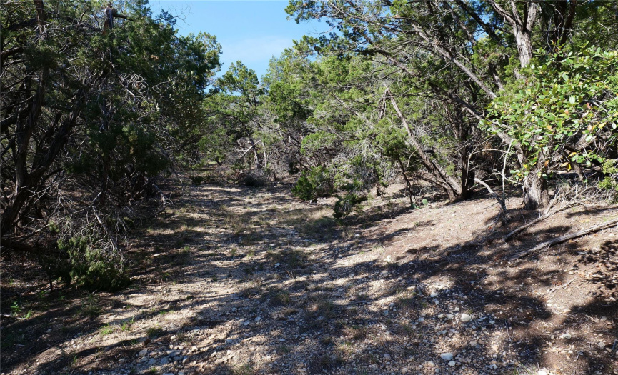 17431 Reed Park RD, Jonestown, Texas 78645, ,Land,For Sale,Reed Park,ACT8184624